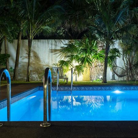 Casa Das Clivias Ponta Delgada Eksteriør billede